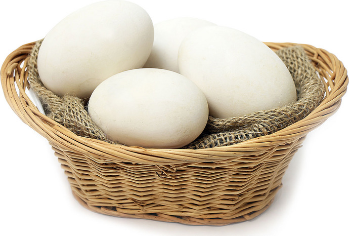 Besides chicken eggs, what other sorts of eggs have you tried?