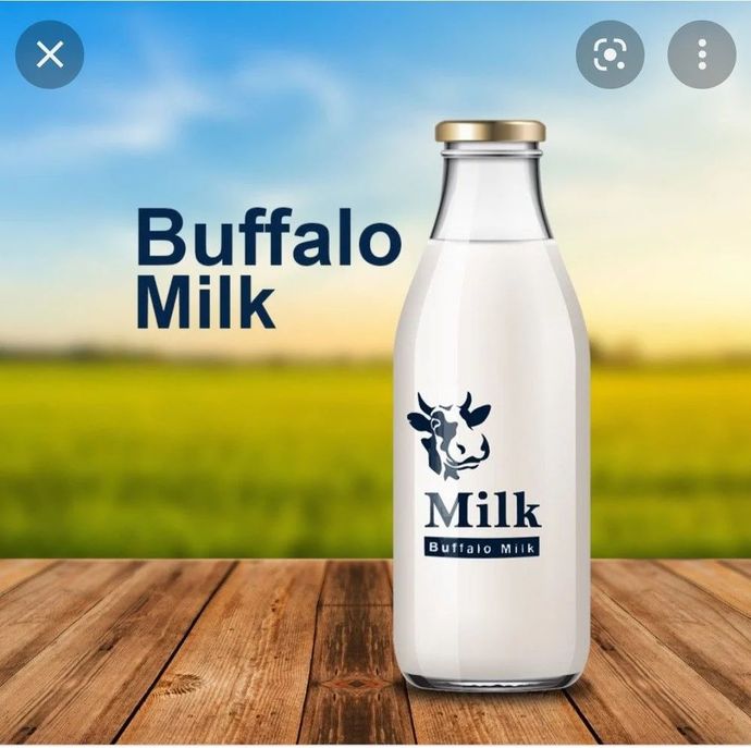Besides cow milk, what other sorts of milk have you tried?