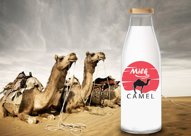 Besides cow milk, what other sorts of milk have you tried?