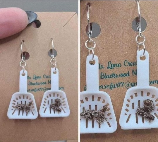 Would you wear these charming earrings?