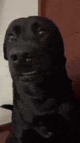 Would you survive if no one likes you?