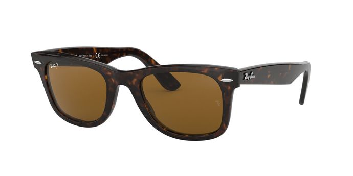 Wayfarer sunglasses - Brown or Black?