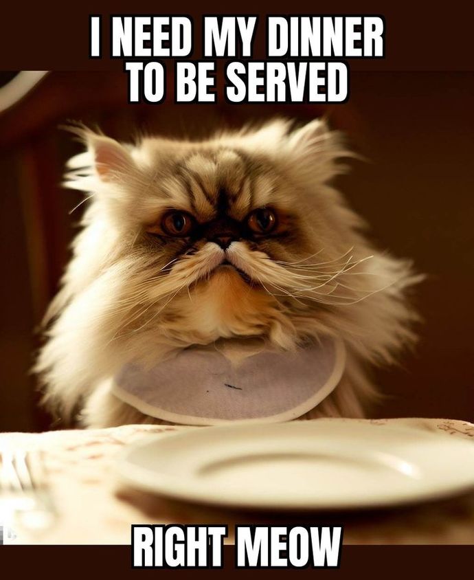 How do you usually cook your dinner on any typical day?