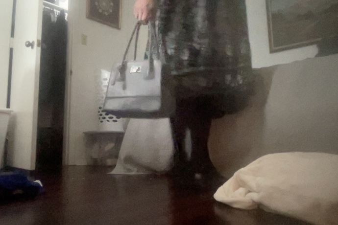 Fall Skirt, Tights, and Bag?