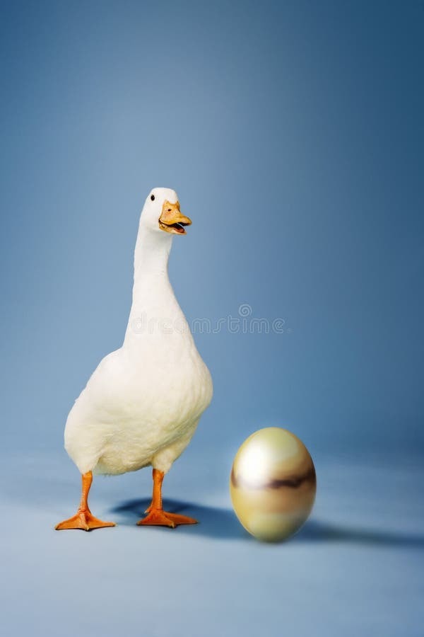 A Goose Egg/