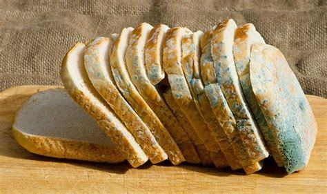 How much mould do you tolerate on your food?