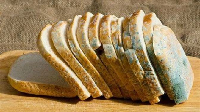 How much mould do you tolerate on your food?