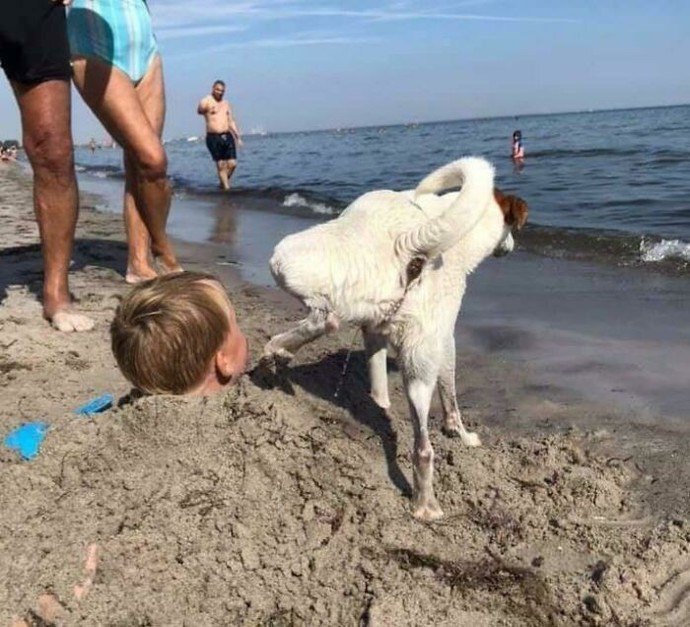Have you ever buried someone at the beach?