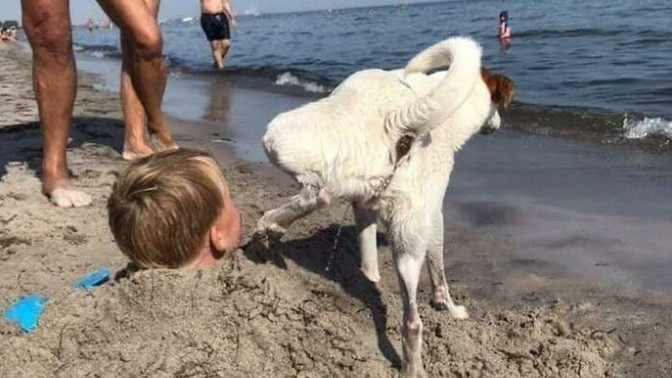 Have you ever buried someone at the beach?