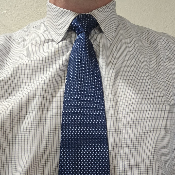 In her defense, I have never worn this tie with this shirt and it actually doesnt look too bad.