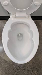 Do you find it demeaning that Democrats and celebrities claim that illegal immigrants are here to clean their toilet?