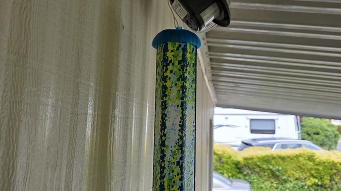 Am I a bad person for using a sticky fly trap outside?