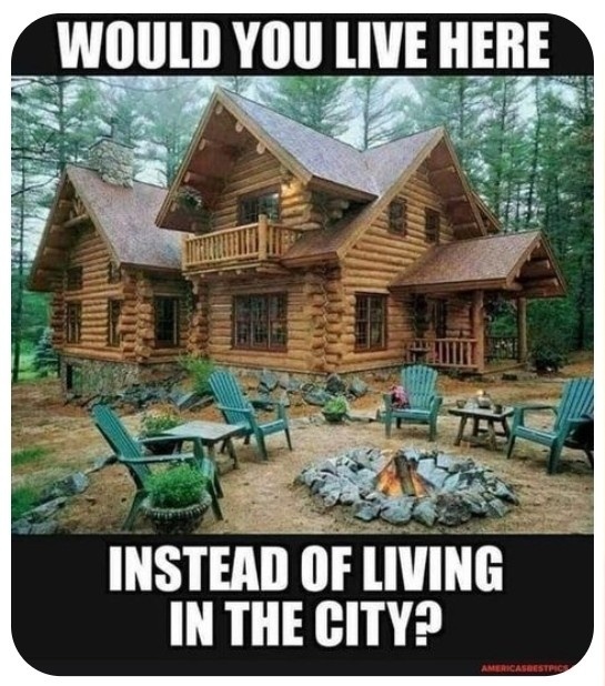 Would y’all rather live here?