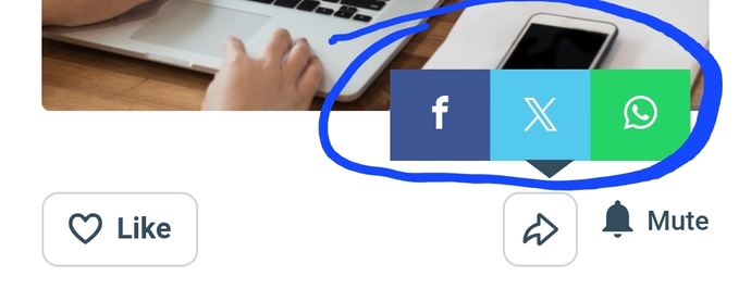Do you ever share questions on other social media sites?