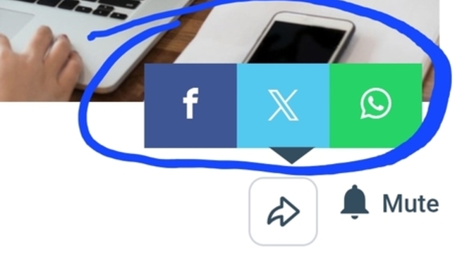 Do you ever share questions on other social media sites?