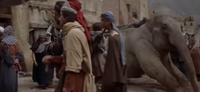 If you visited a city and saw Elephants casually walking around like it was normal how would you react?