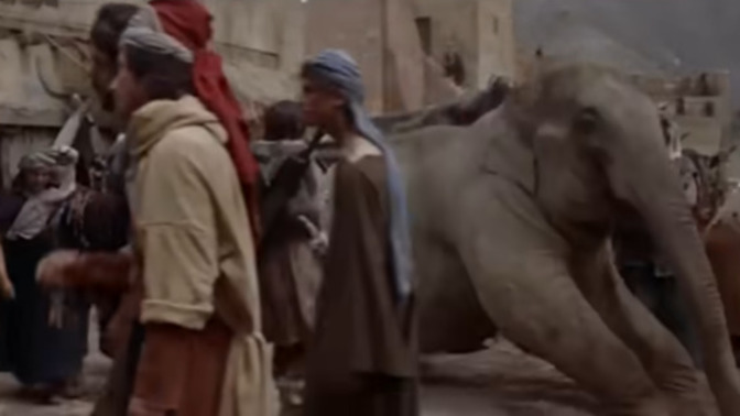 If you visited a city and saw Elephants casually walking around like it was normal how would you react?