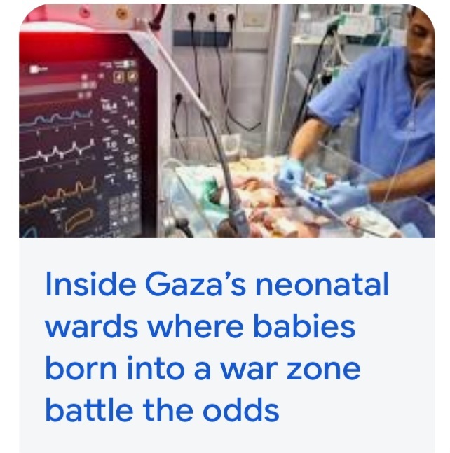 Why are Palestinians making babies in the middle of a freakin war?