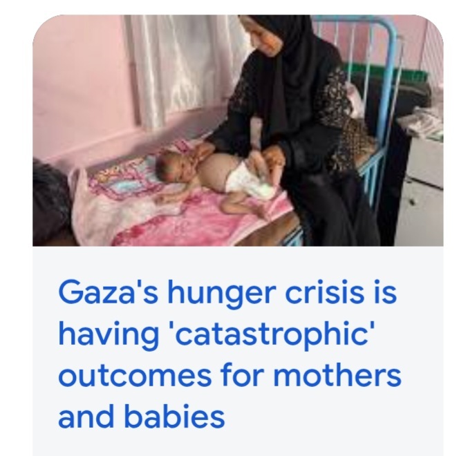 Why are Palestinians making babies in the middle of a freakin war?