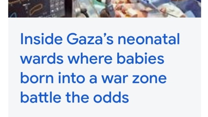 Why are Palestinians making babies in the middle of a freakin' war?