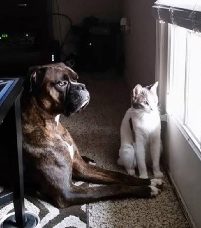 Two best friends. RIP to them both. 🫶