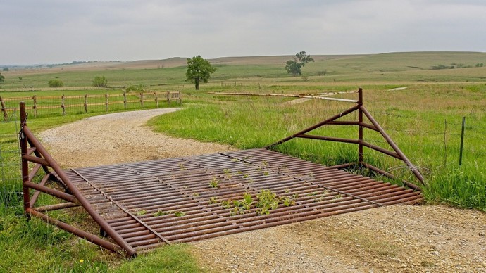 How do you feel about driving over cattle grids?