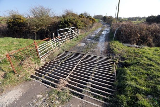 How do you feel about driving over cattle grids?