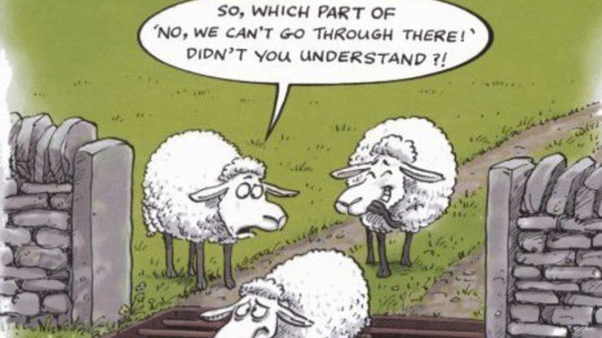 How do you feel about driving over cattle grids?