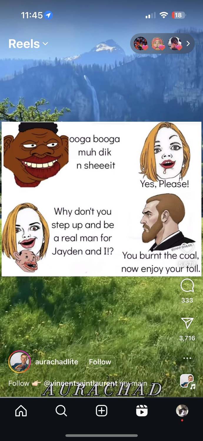 Example of many racist post seen on social media targeted at specific group of single mothers