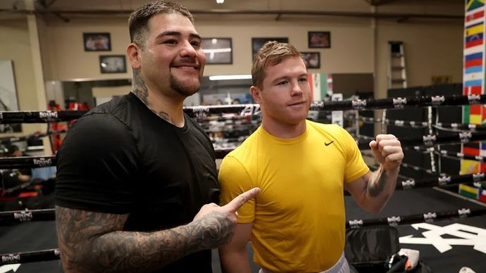 Both Mexican boxers, both Hispanic.