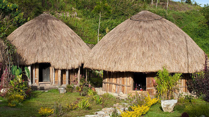 Which tropical hut design do you like best?