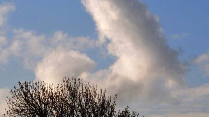 How is the weather where you are?