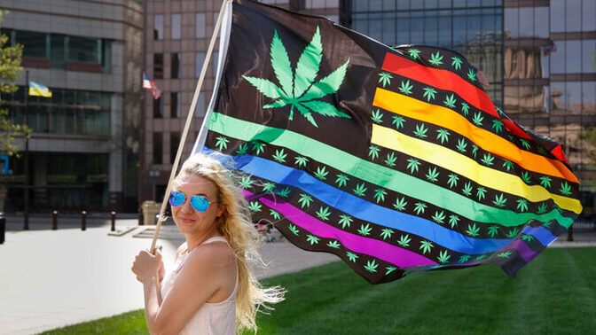Would you vote to legalize Cannabis?