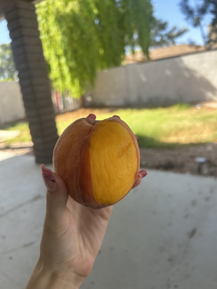 Do you have an favourite type of fruit?