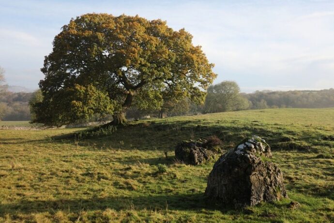 Do you like where you live?