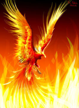 Why is the city Phoenix called a bird name?