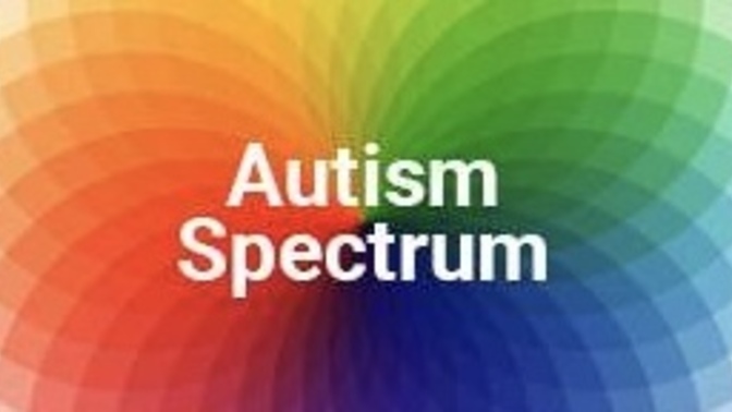 Do you see people on the AUTISM spectrum as handicap? What are your thoughts?