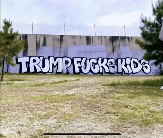 47 percent of Republicans would still Vote for Trump if were complicit in Epstein's sex trafficking crimes... What is wrong your\their brain?