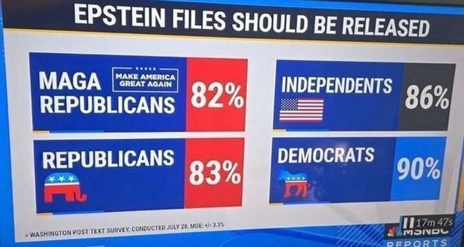 Poll showing 82% of MAGA republicans saying the Epstein files should be released, higher for everyone else.