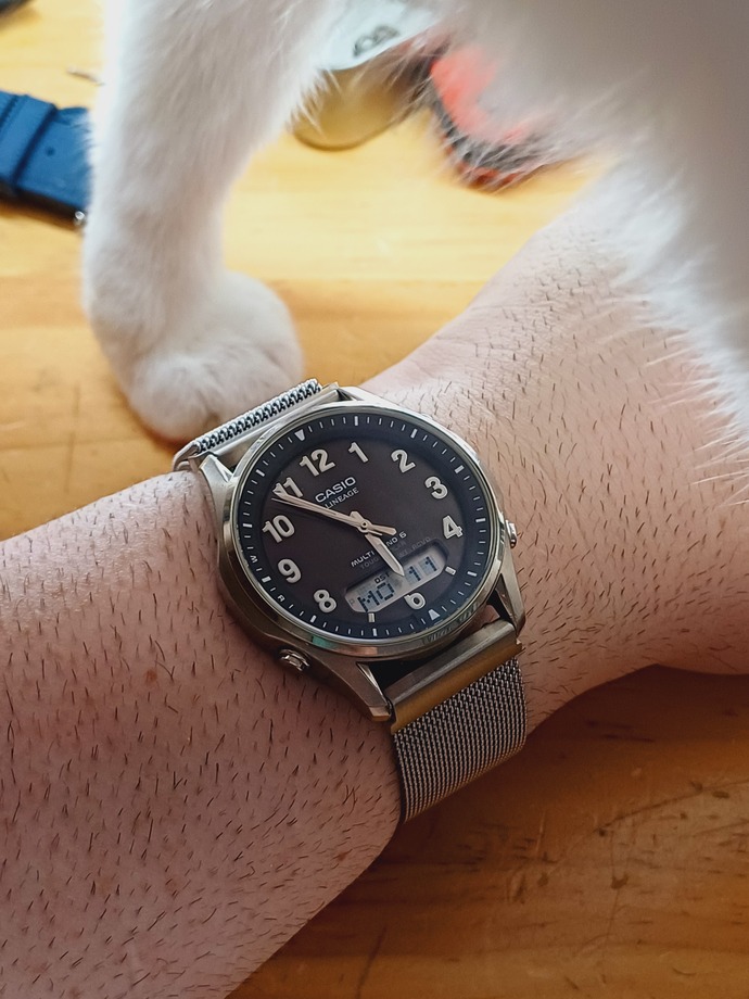 Question for the girls — Which bracelet looks better on my watch?
