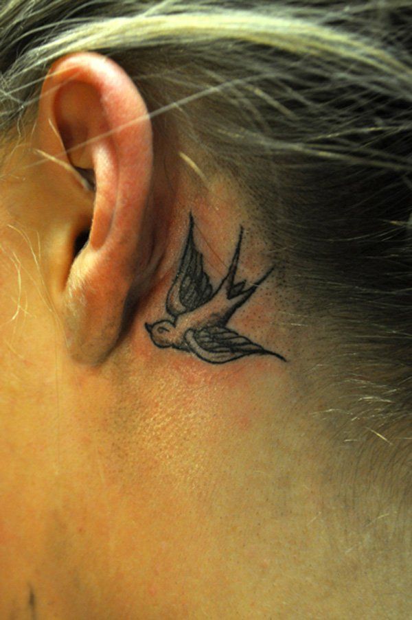 What is the male version of the tramp stamp?