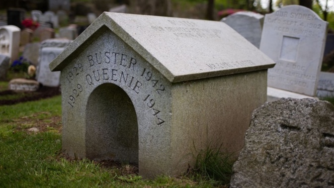 What do you do with your pets when they pass away?