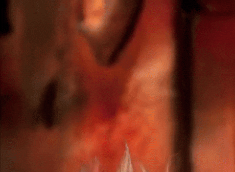 What is the most important question to ask on a first date?