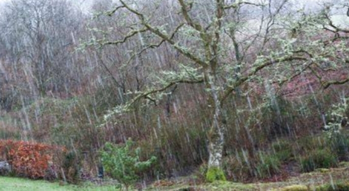 Whats your favorite type of PRECIPITATION?
