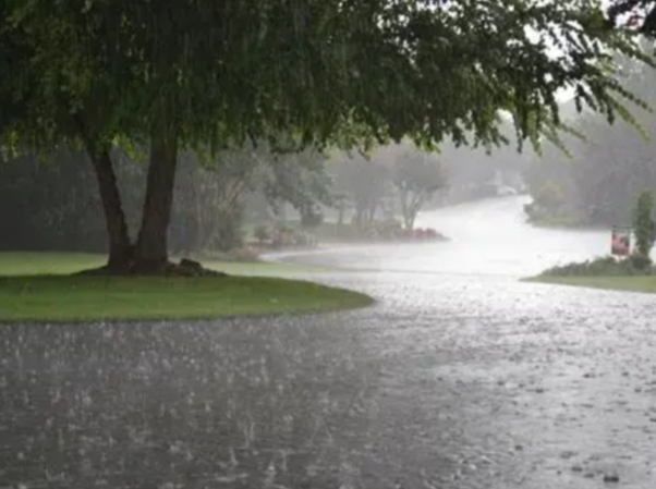 Whats your favorite type of PRECIPITATION?