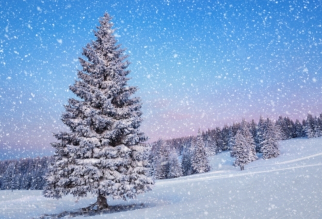 Whats your favorite type of PRECIPITATION?