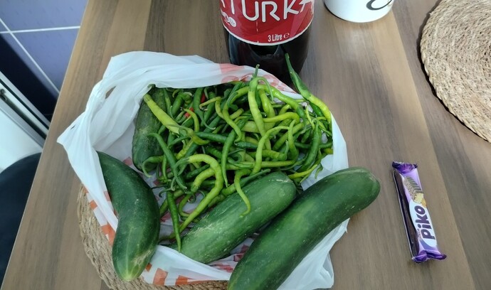 I picked it from the garden, which one would you eat?