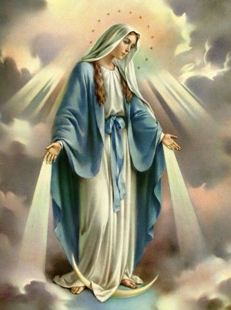 Why arent more Christians devoted to the Blessed Virgin Mary?