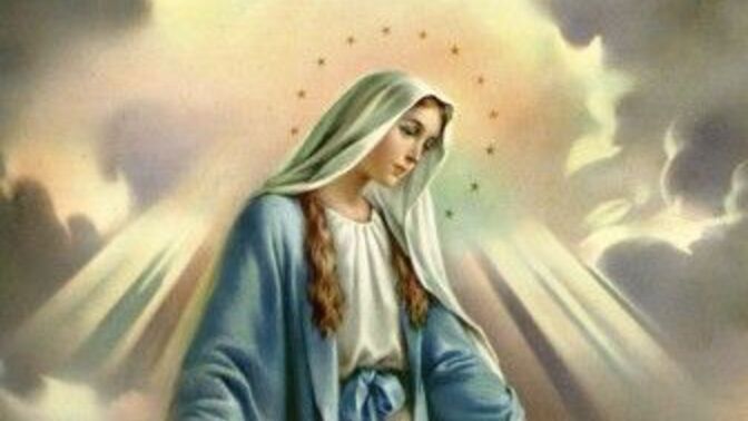 Why aren't more Christians devoted to the Blessed Virgin Mary?