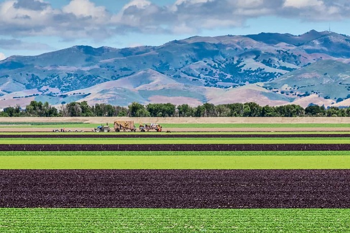 I was on Facebook and I saw this post stating that the landscapes in the USA are not impressive and look super normal. Do you think it's true?